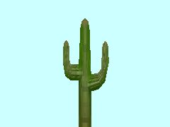 Kaktus1-6m_HB1
