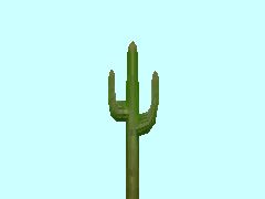 Kaktus1-8m_HB1