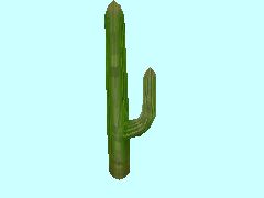 Kaktus2-55_HB1