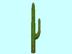Kaktus2-75_HB1