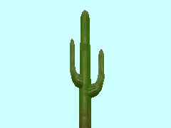 Kaktus3-65_HB1