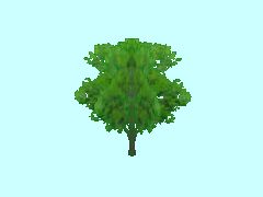 Herbstbaum1a_3m_SM1