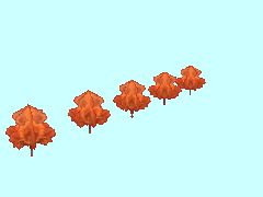 Herbstbaumreihe3a_5x8m_SM1