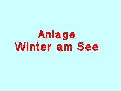 Winter_am_See