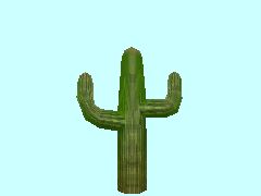 Kaktus1-3m