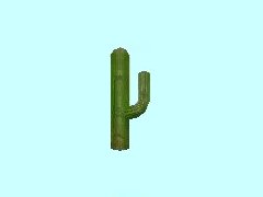 Kaktus2-35m