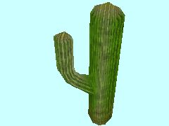 Kaktus2-3m