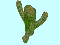 Kaktus3-35m