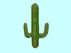 Kaktus3_45m