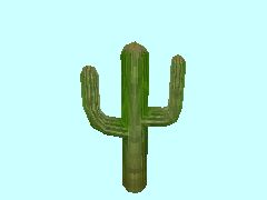 Kaktus1-4m