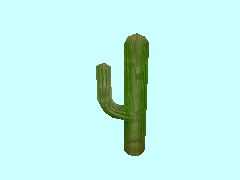 Kaktus2-35