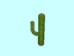 Kaktus2-3m